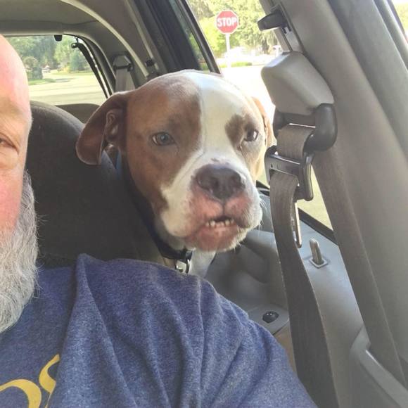 Meet your Posher, Richard - Picture 1 of 1